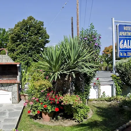 Galini