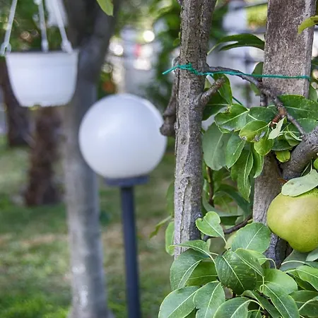 Appart hôtel Galini