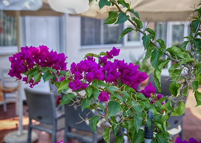 Lejlighedshotel Galini *